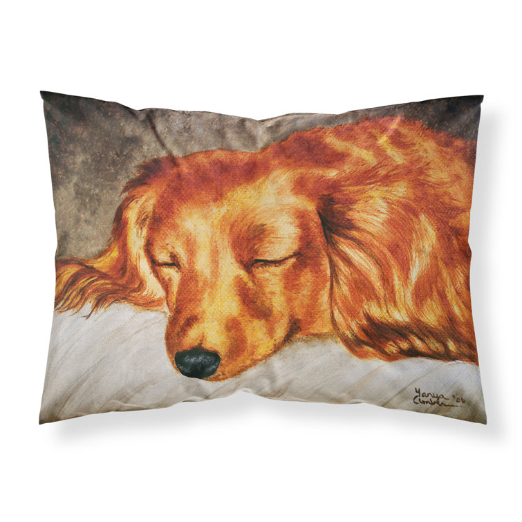 Wayfair hotsell pillow cases